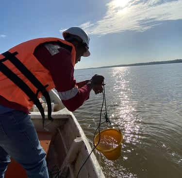 Water quality monitoring