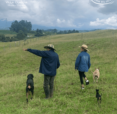 recorridos turísticos en pereira