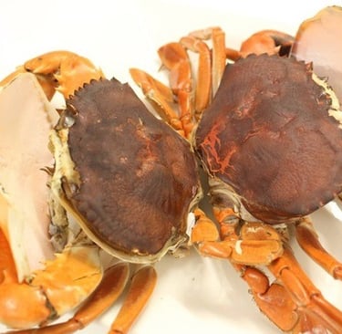 double skinned crabs