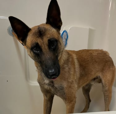 bath