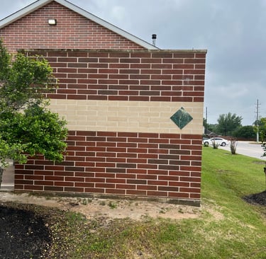 Wall that has been soft washed to remove mold and mildew