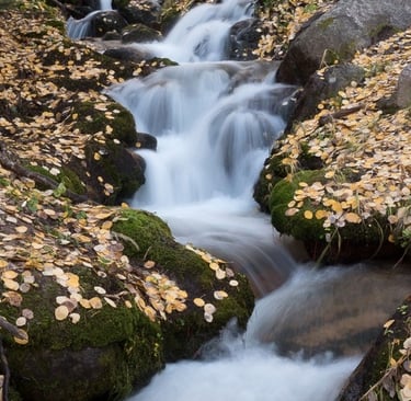waterfall with flowing water and golden leaves on the banks of the river. relaxing and peaceful