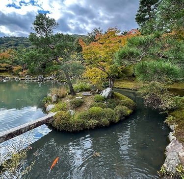 Jardin japonais du temple Tenriyu-Ji avec une carpe koi dans le plan d'eau