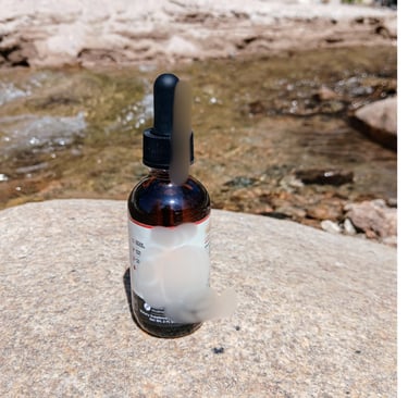 mushroom tincture bottle sitting on a rock