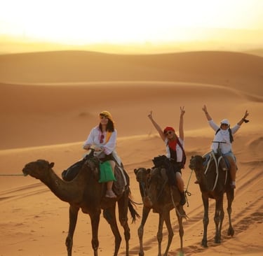 soul-of-nomads---blog---travel-guide---zagora-desert-morocco-camel