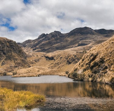 Cajas National Park, Ecuador, South America