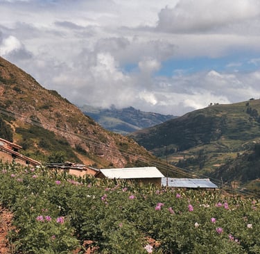 Wilcacocha hike, day tour from Huaraz, Peru, South America