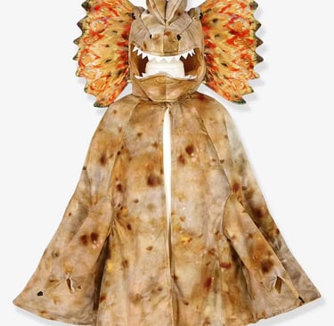 deguisement halloween enfant