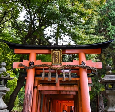 Porte torii vermillon dans la foret avec deux lanternes en pierre de part et d'autre