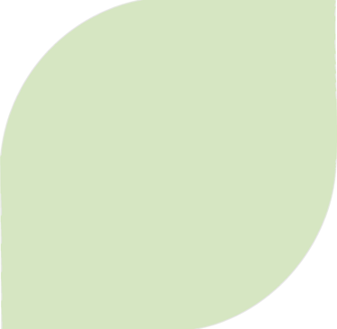 a green leafy plant with a leafy green background