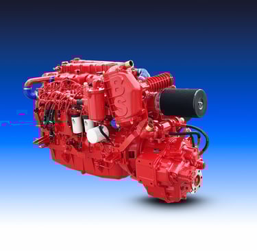 Motore marino elettronici del marchio Boni