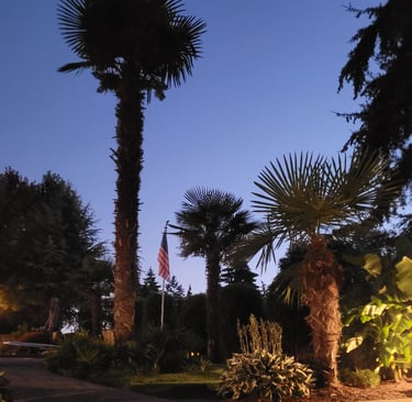 windmills in america