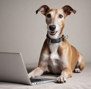 happy dog searching on laptop