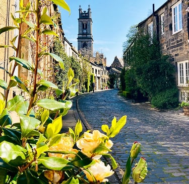 Circus Lane et ses roses jaunes