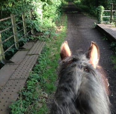 Horsey