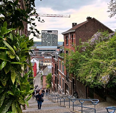 Vue sur la ville de Liège
