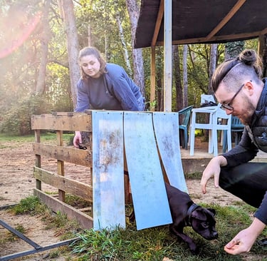 Deux personnes et un chien lors d'une seance d'éducation canine