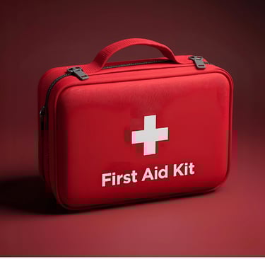 first aid kit case