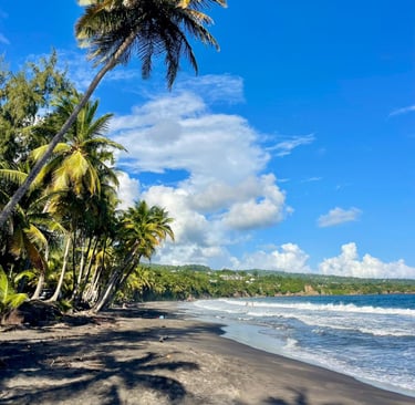 Excursion Monique voyage france guadeloupe