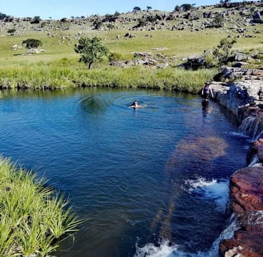 Paradise pools with swimmers in clear water