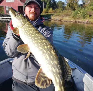 un pêcheur tient un gros brochet pendant son séjour de pêche en suède.