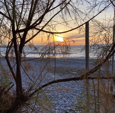 sunset in rhodes greece and some trees and beach on the background
