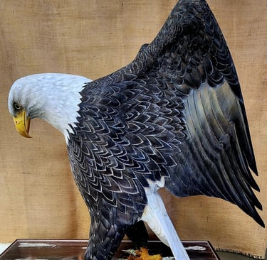 Eagle by Louis Livan