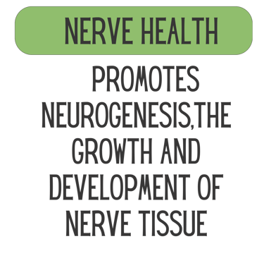 Mane Brain™ offers premium mushroom-based wellness products designed to support focus, memory,.