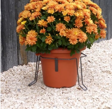 stabilisateur plante, cimetiere, tombe, pots pas renverser