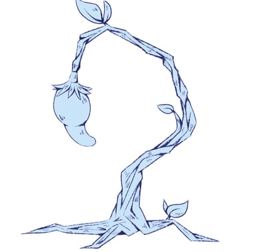 Carte haricot magique