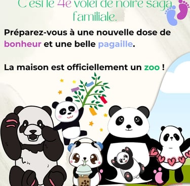 faire-part de naissance du 4e bebe humour