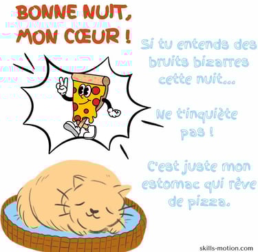 image bonne nuit humour chat