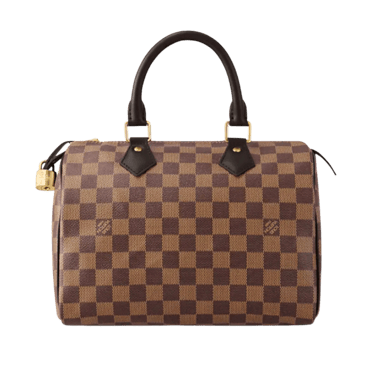 LV Speedy 25 Damier Ebene Women Handbag