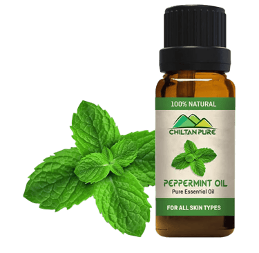 Green Peppermint leaves next to Peppermint Essential Oil Bottle
