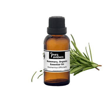 Green Rosemary next to rosemary organic essential oil bottle