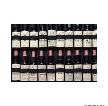 florais de bach, emoções, raiva, tristeza, medo, ansiedade, indecisão