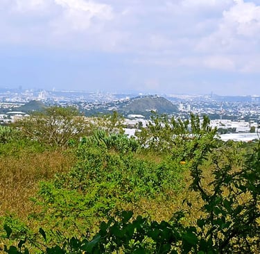 vista panoramica desde terreno en valle dorado corregidora qro
