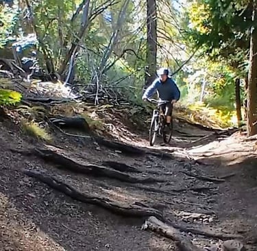Mountain biker riding of roots