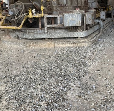 degats causés par les fientes de pigeons dans un site industriel