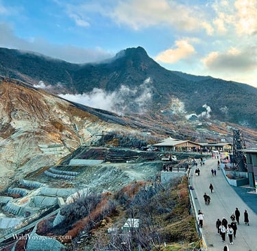 Fumerolles à Owakudani station