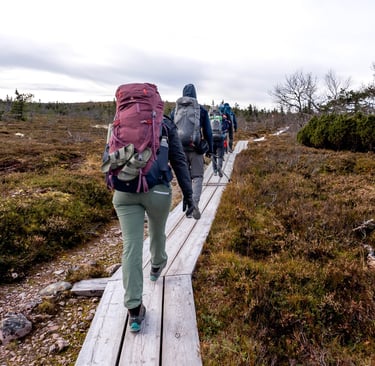 a group of people walking on a wooden decks through the grass fields in Sweden