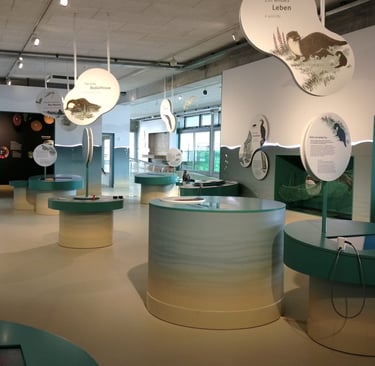 Ausstellung Watt.Land.Fluss Multimar Wattforum
