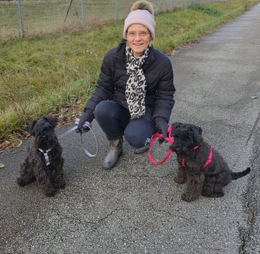 L'éleveur et ses femelles Schnauzers