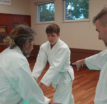 Josh instructing students doing Aikido