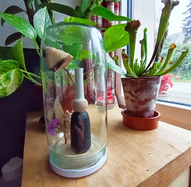Bigoudène en bois peinte dans un bocal en verre avec bouquet sec et champignon.