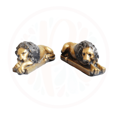 a pair of lioness sitting on a book