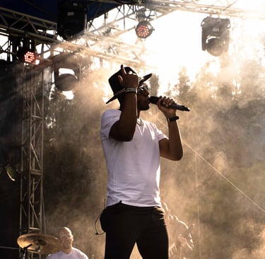 Fotografía de concierto en el atardecer de cantante con estilo