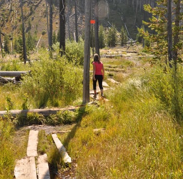 a woman in a red shirt is walking along planks in yellowstone national park