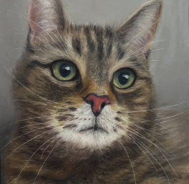 Soft pastel drawing of a Tabby cat 