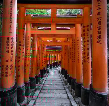 Tunnel de portes torii